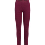 SWIX Polaris Baselayer Pants W